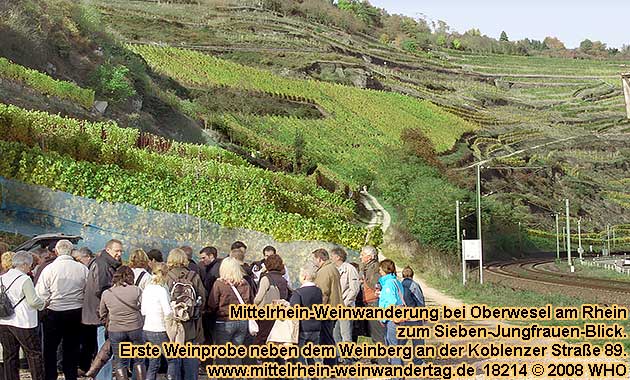 Mittelrhein-Weinwanderung bei Oberwesel am Rhein zum Sieben-Jungfrauen-Blick. Mittelrhein-Weinwandertag