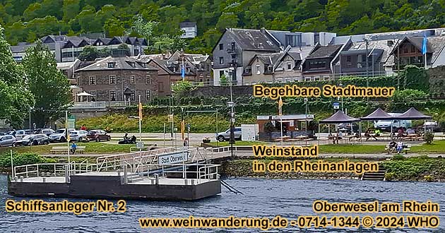 Pop-up Weinstand Oberwesel  Weinprobierstand in den Rheinanlagen am Rheinufer neben dem Schiffsanleger Nr. 2