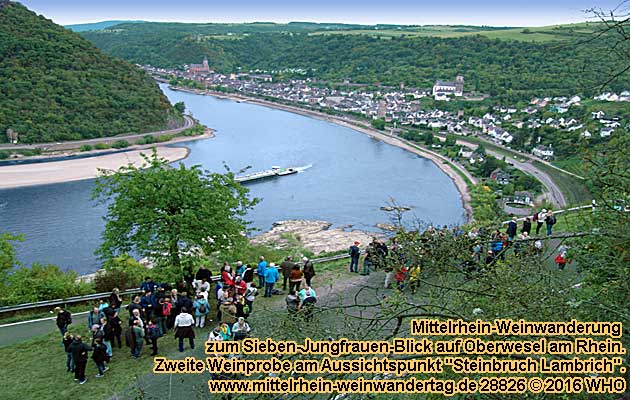 Mittelrhein-Weinwanderung bei Oberwesel am Rhein zum Sieben-Jungfrauen-Blick. Mittelrhein-Weinwandertag